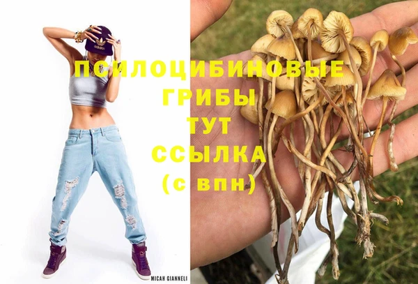 герыч Пестово