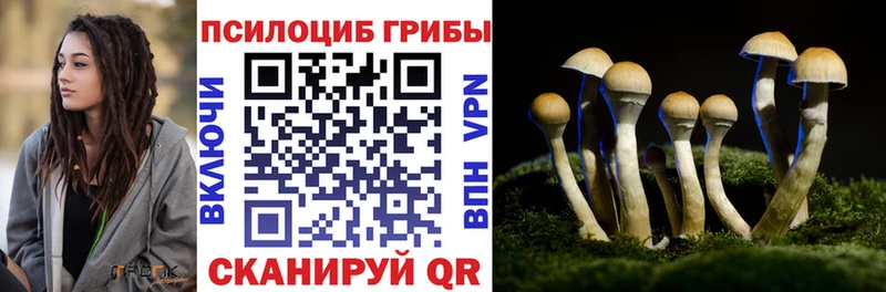 Галлюциногенные грибы мицелий купить наркотик Анапа