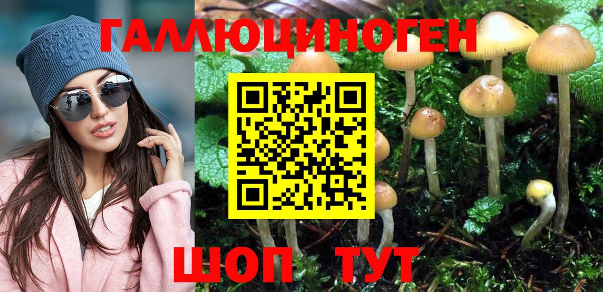 Псилоцибиновые грибы GOLDEN TEACHER Анапа