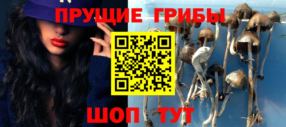 Галлюциногенные грибы прущие грибы  где купить наркоту  Галлюциногенные грибы прущие грибы  Анапа  Вход с VPN 